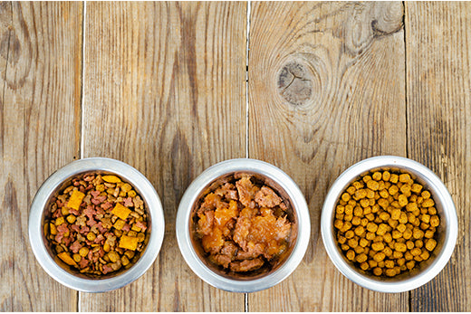 The importance of providing a well-balanced diet and feeding schedule for your dog.