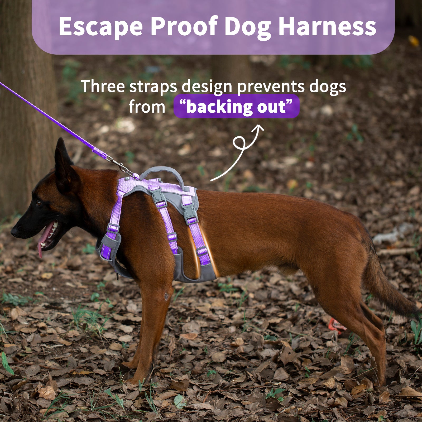 Huntboo Reflective Dog Harness with Handle- Lavender Purple