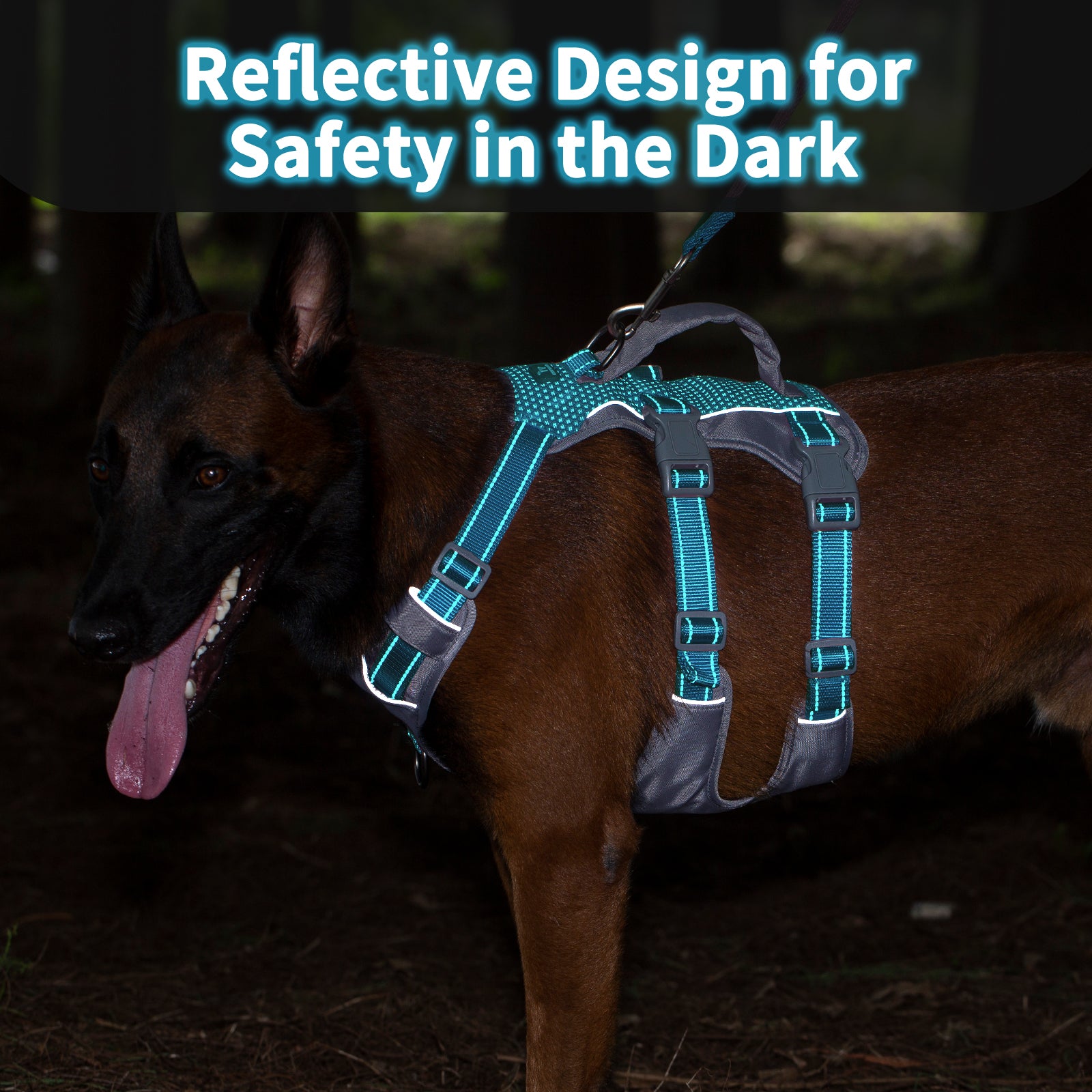 Huntboo Reflective Dog Harness with Handle- Teal Blue