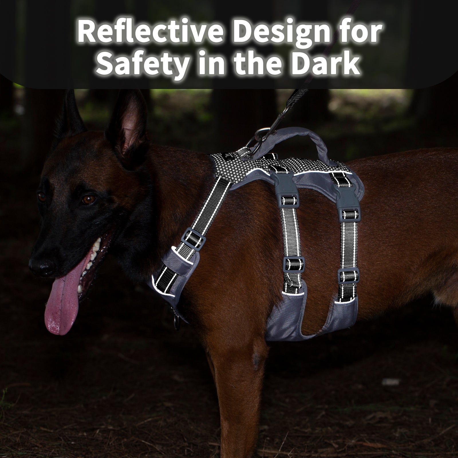 Huntboo Reflective Dog Harness with Handle- Black