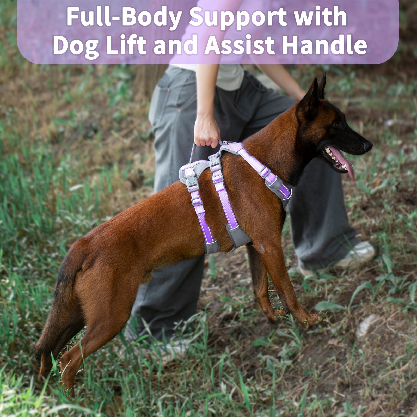 Huntboo Reflective Dog Harness with Handle- Lavender Purple