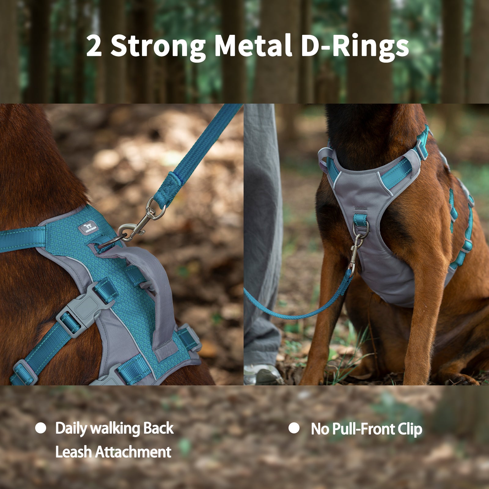 Huntboo Reflective Dog Harness with Handle- Teal Blue