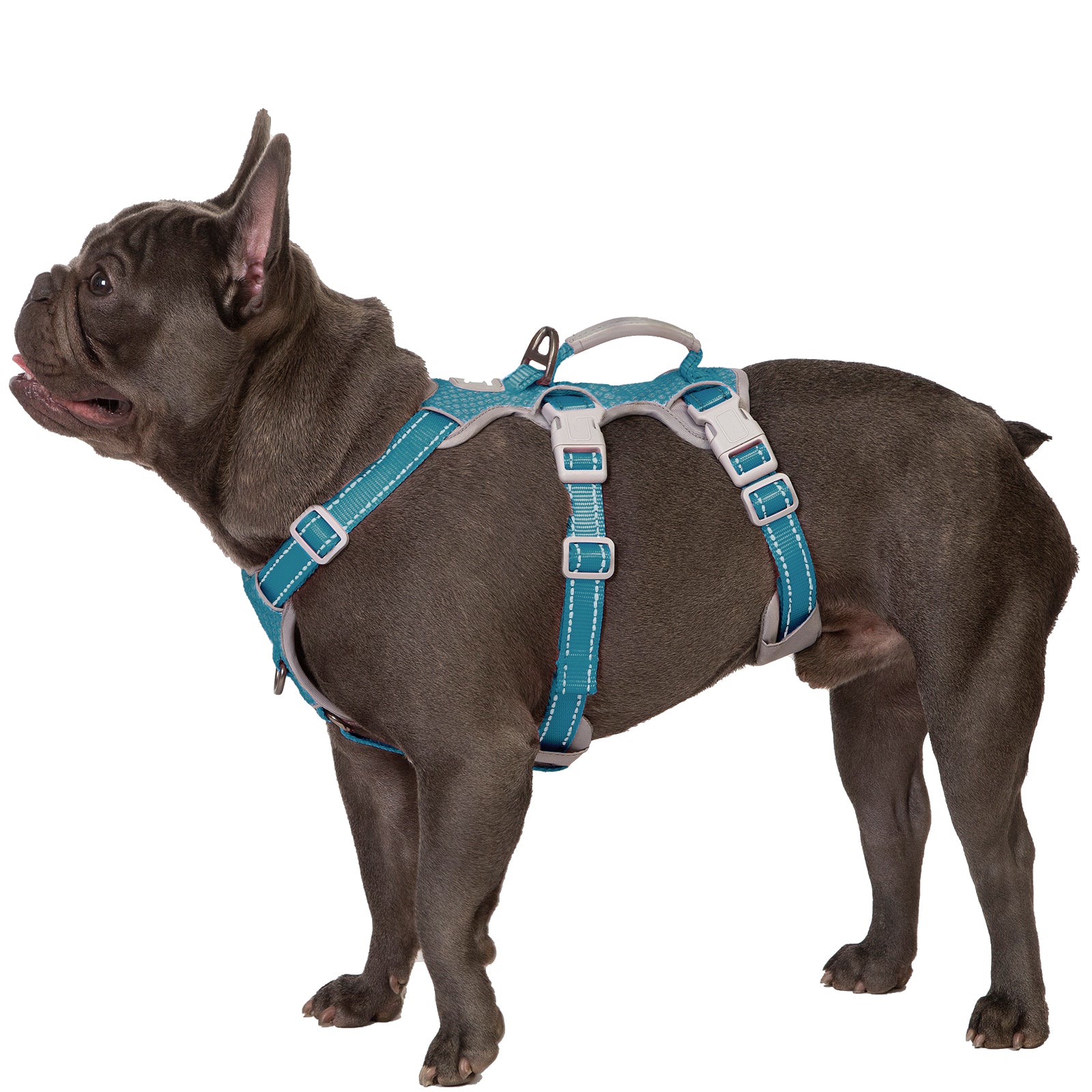 HalfGuardian™ Reflective Escape Proof Dog Harness Teal Blue