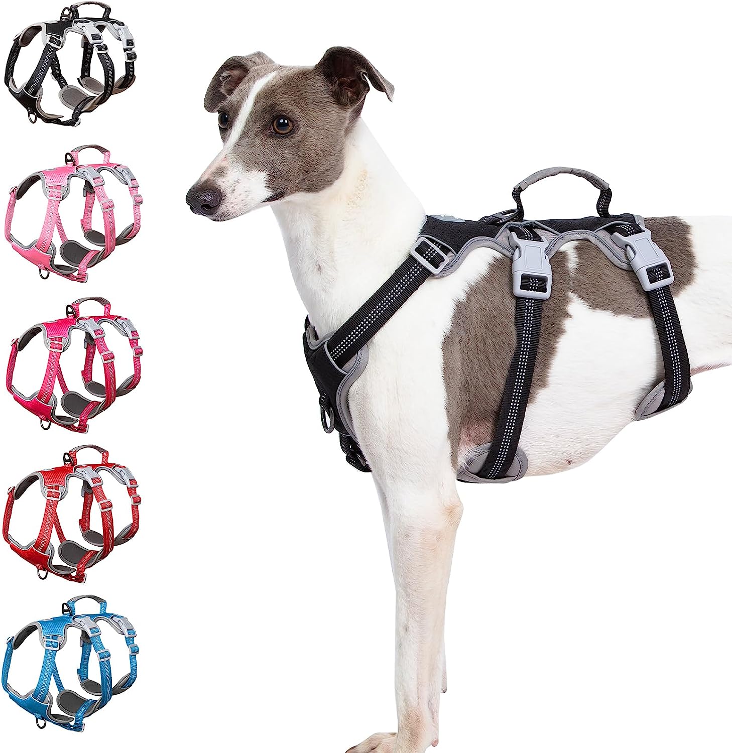 Escape proof pitbull harness hotsell