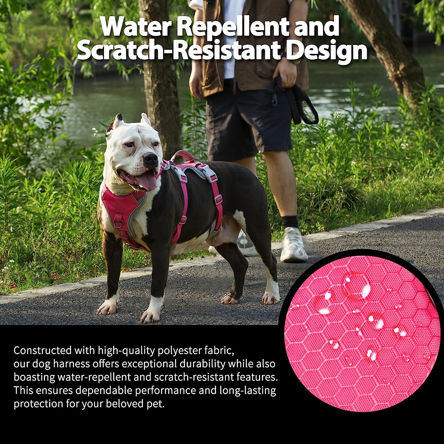 Escape Proof Dog Harness and Water-Repellent Dog Harness (Rose red)