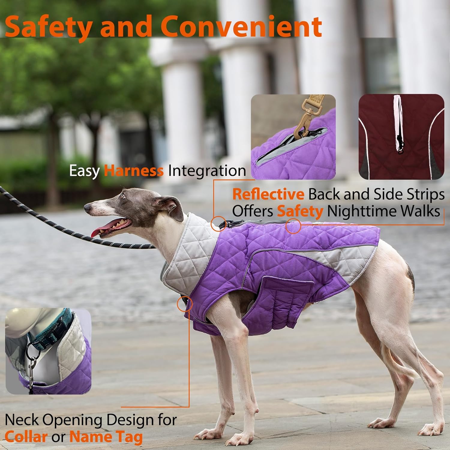 Huntboo-dog purple coat-waterproof-reflective-safety-neck opening design-name tag.jpg
