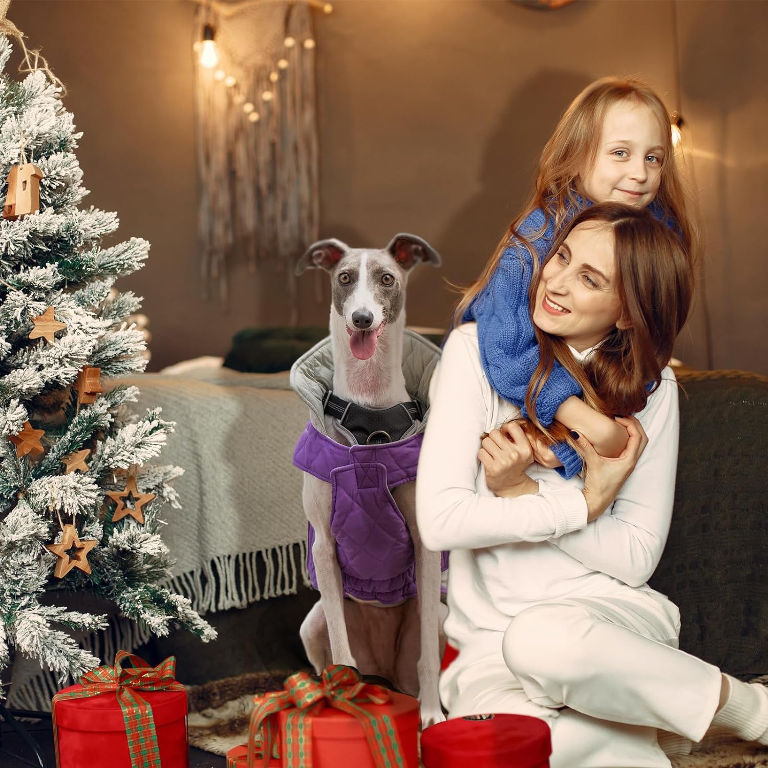 Huntboo-dog winter coat-dog purple coat-waterproof-Christmas gift.jpg