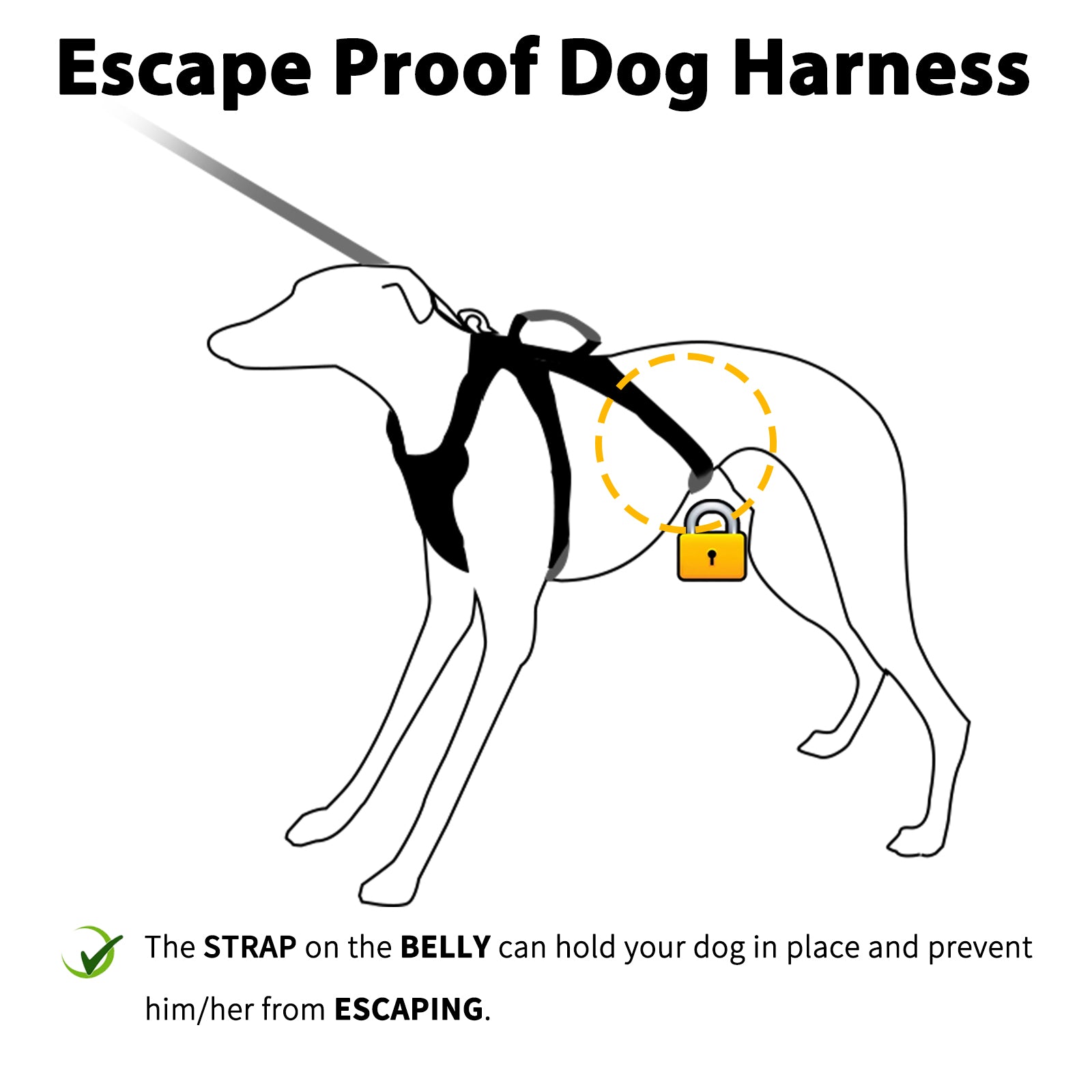 Escape Proof Dog Harness and Water-Repellent Dog Harness (Black)