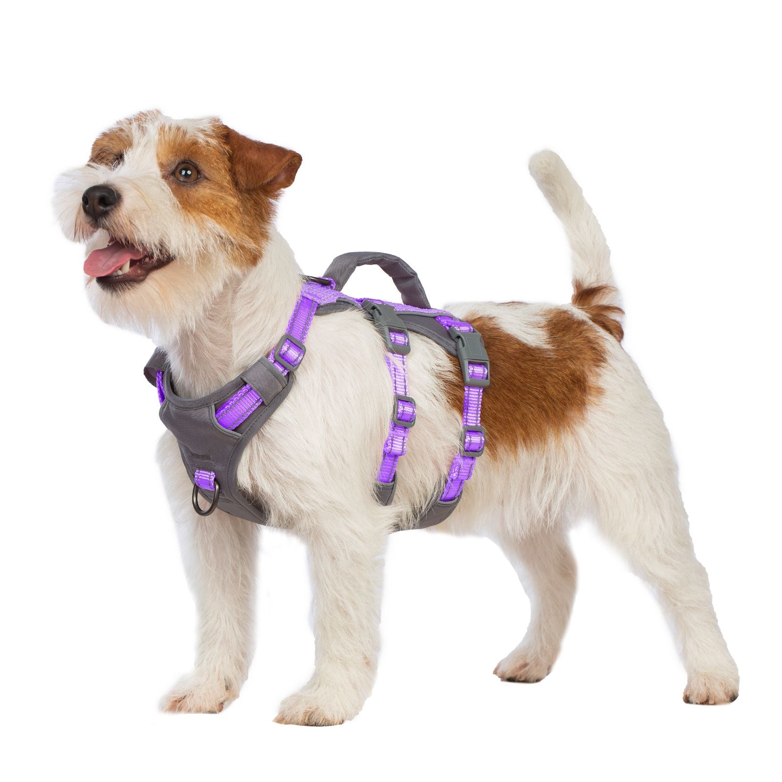 AllShieldPro™ Reflective Dog Harness with Handle  Lavender Purple