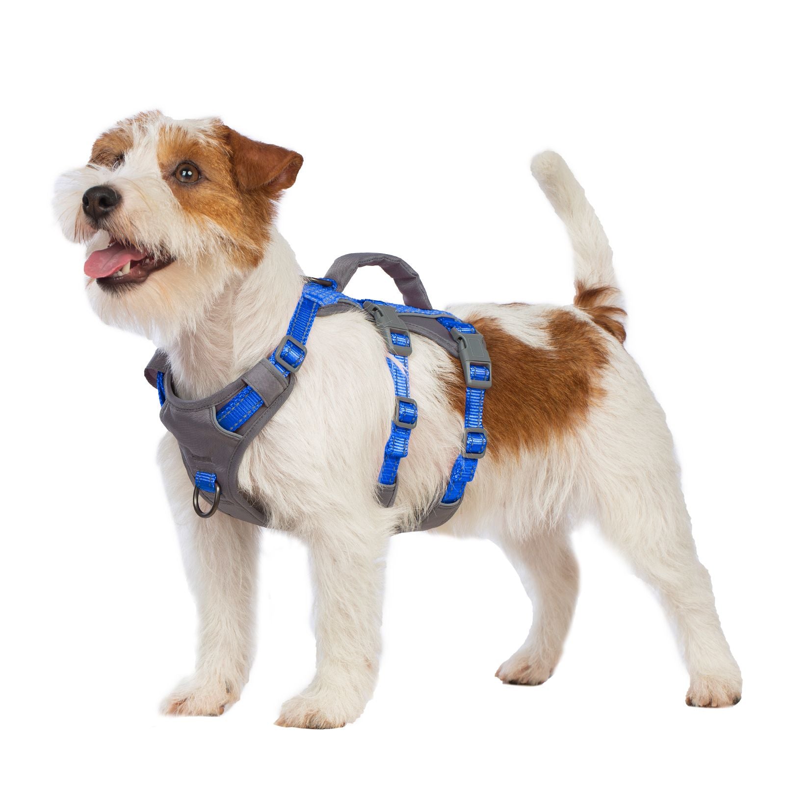 AllShieldPro™ Reflective Dog Harness with Handle  Sea Blue