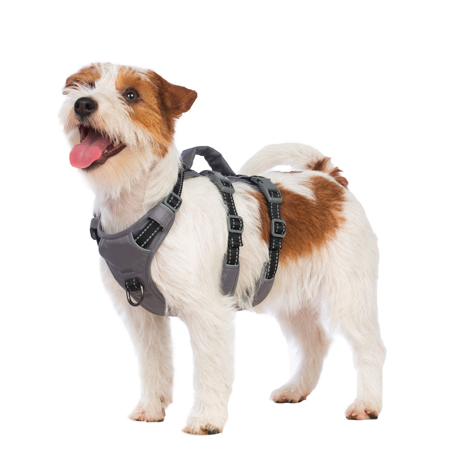 AllShieldPro™ Reflective Dog Harness with Handle  Black