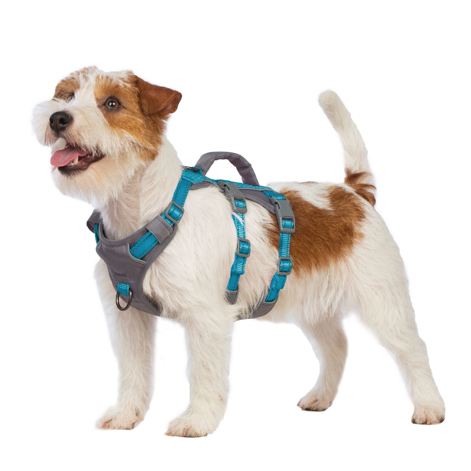 AllShieldPro™ Reflective Dog Harness with Handle Teal Blue