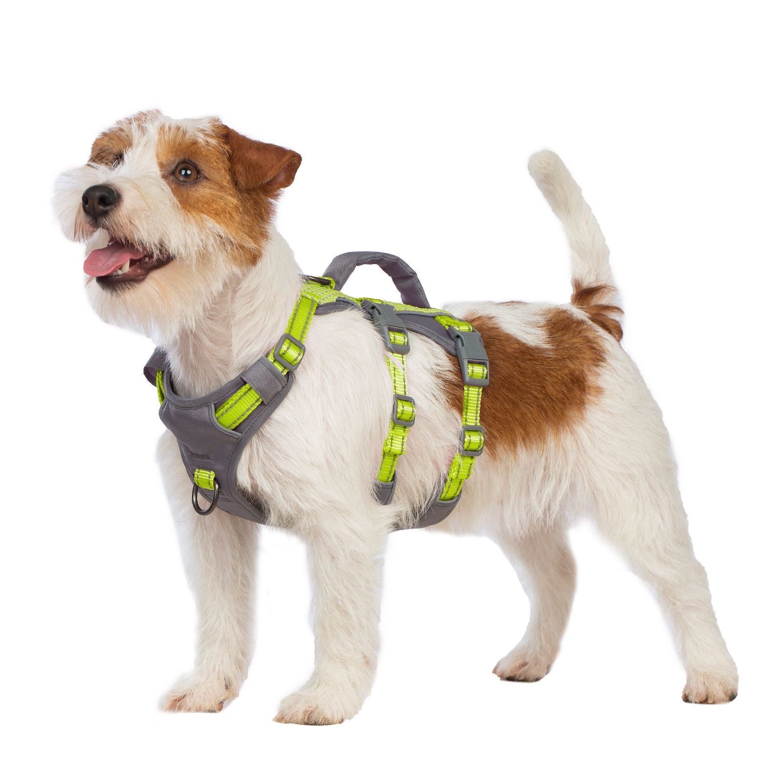 AllShieldPro™ Reflective Dog Harness with Handle  Bright Green