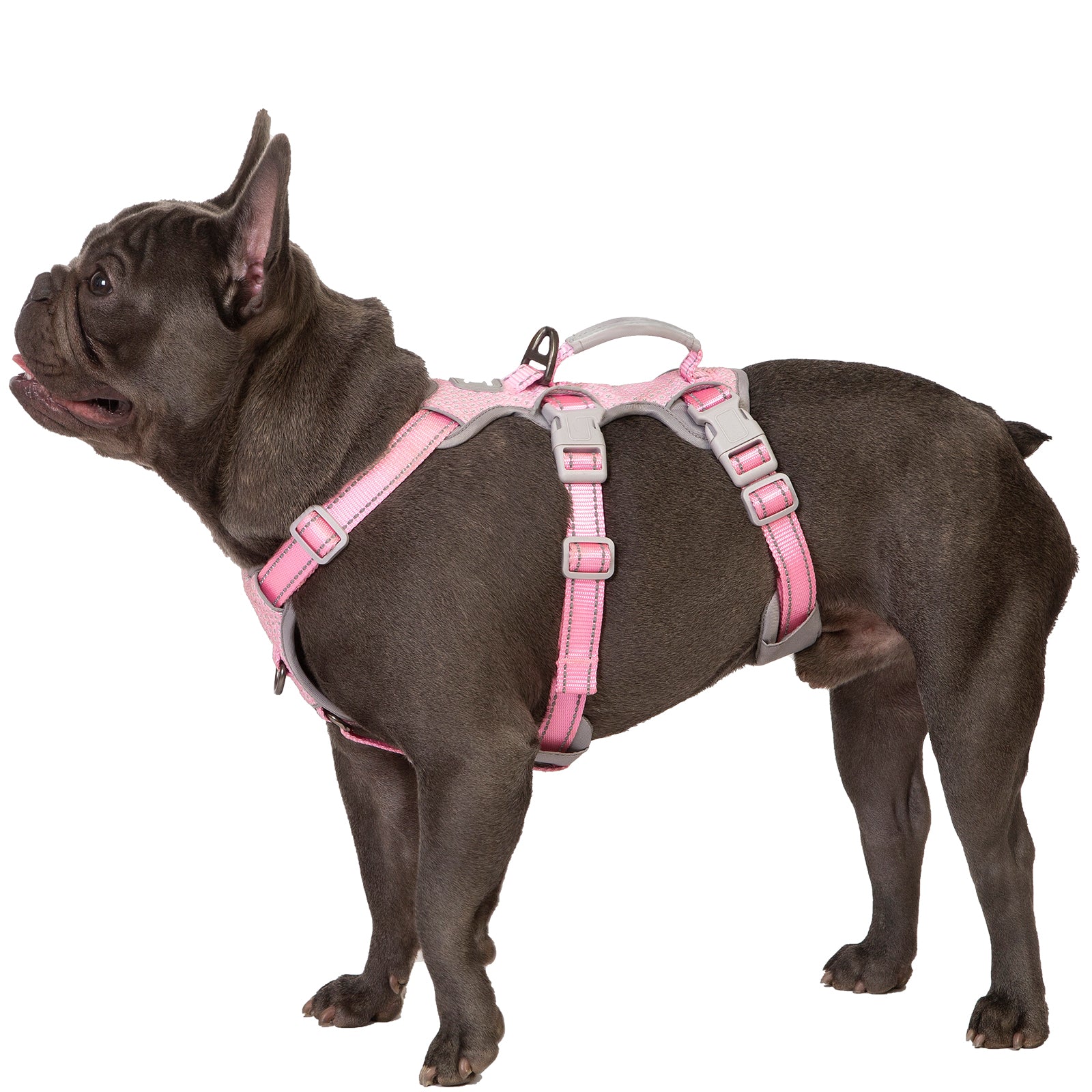 Escape Proof and No Pull Dog Harness Pink