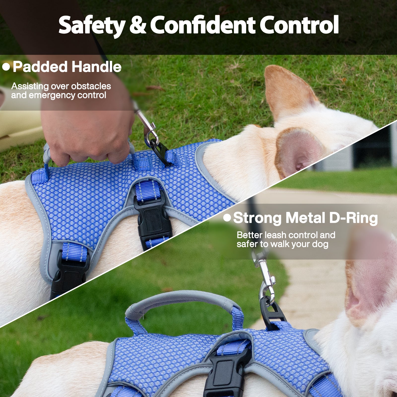 Escape proof small dog harness best sale