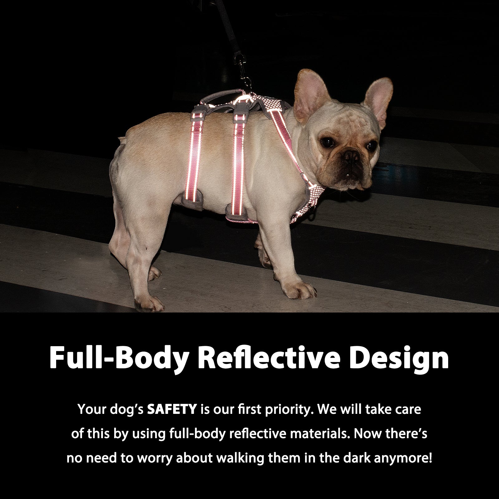 Reflective Dog Harness