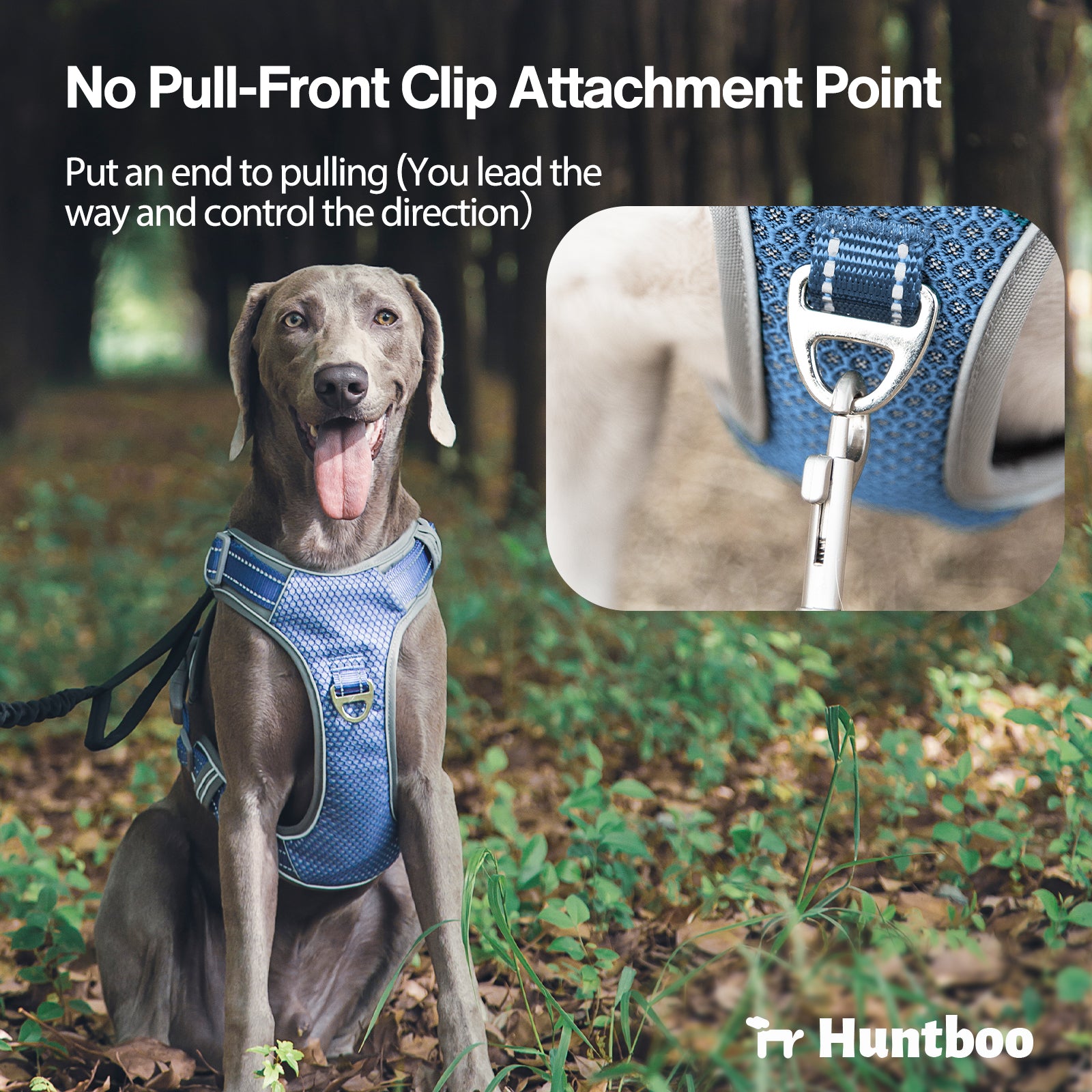 No Pull Dog Harness Purple